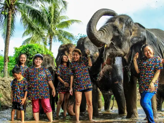 Guests with elephants at a sanctuary