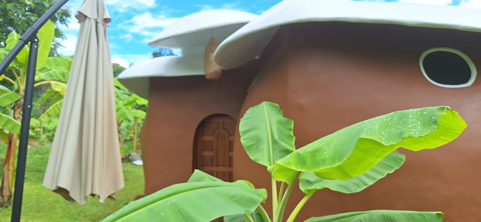 Mushroom House entrance surrounded by banana plants