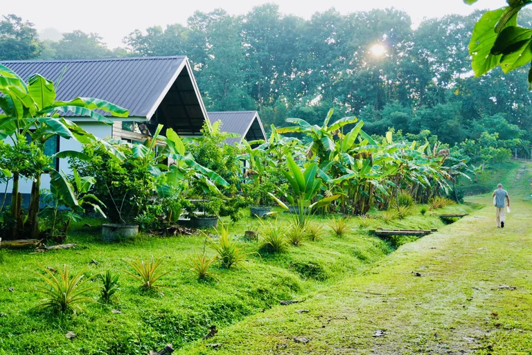 True Nature cottages among banana plants and green hills