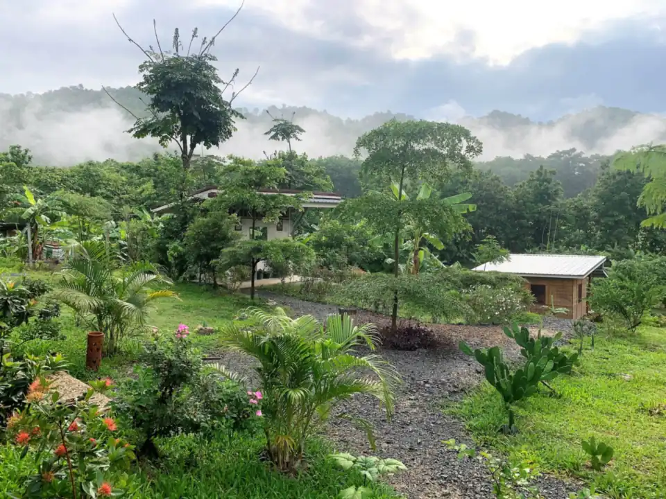 Morning mist over the retreat gardens