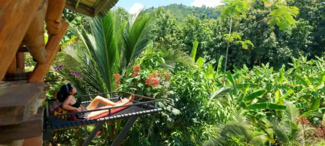 A guest lying in the Bamboo House balcony hammock above the greenery