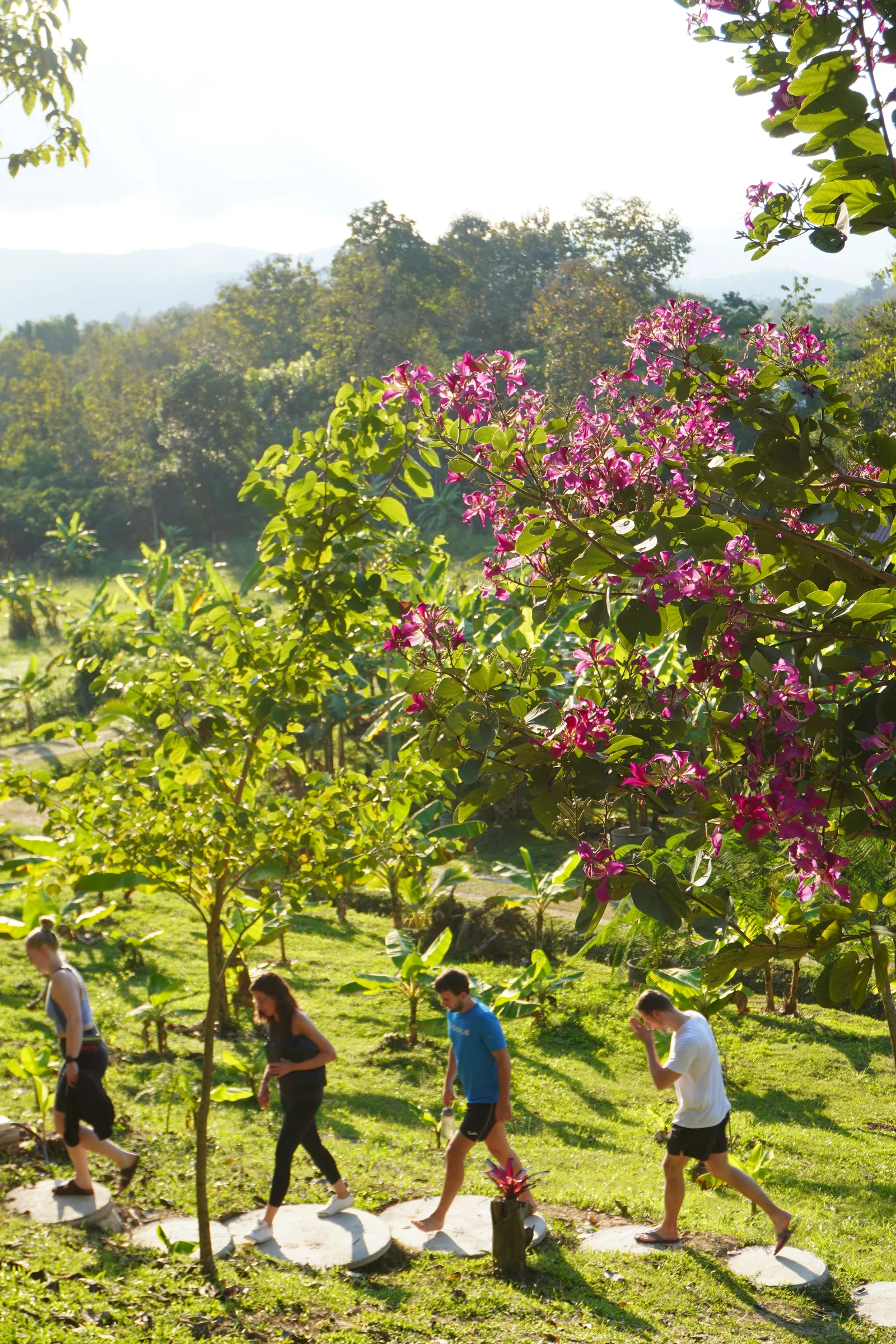 Guests walking through the flowering True Nature garden between practices
