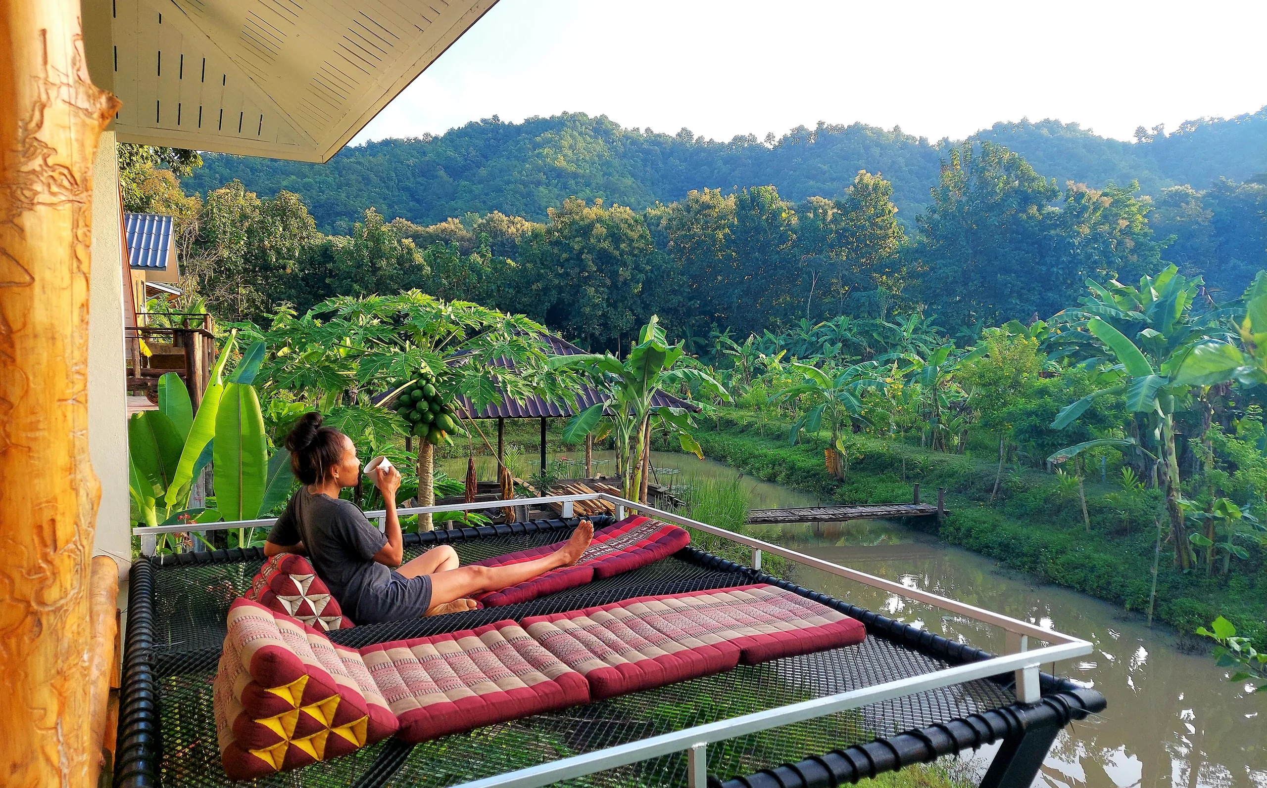 A quiet cup of tea on the net hammock overlooking the garden and hills