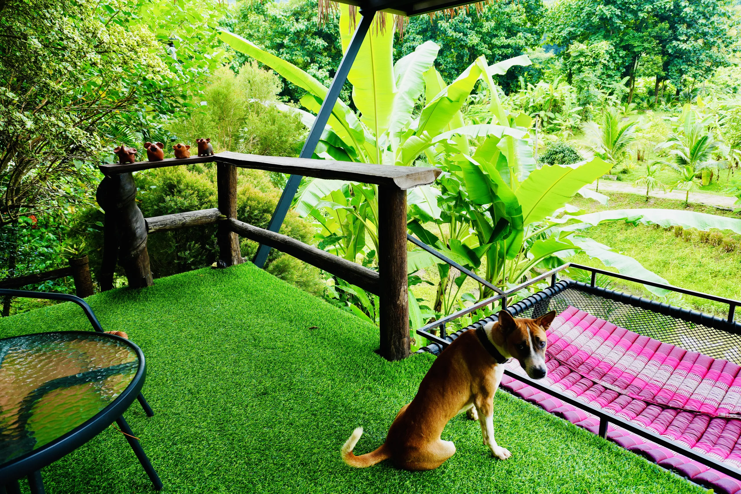 A quiet balcony hammock overlooking the True Nature gardens with one of the resident dogs nearby
