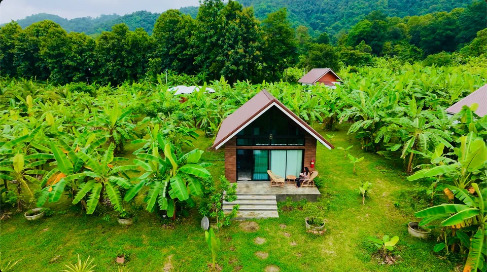 The glass-front Banana Home with its balcony among the banana plants