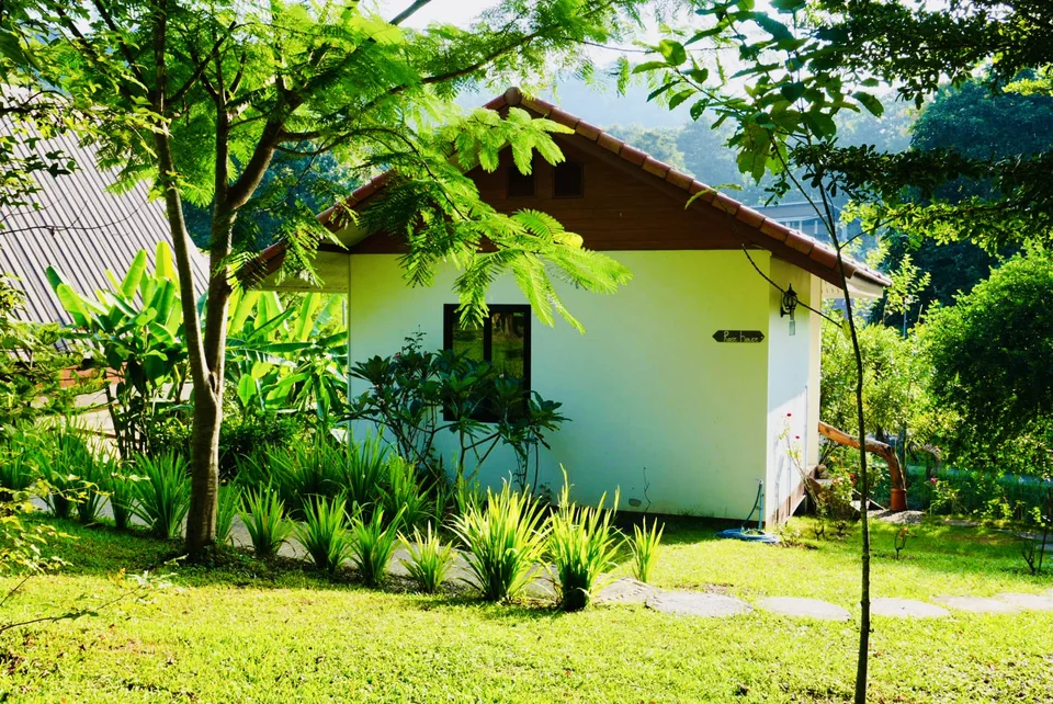 Sunlit trees, green gardens and a cottage ready for retreat season at True Nature