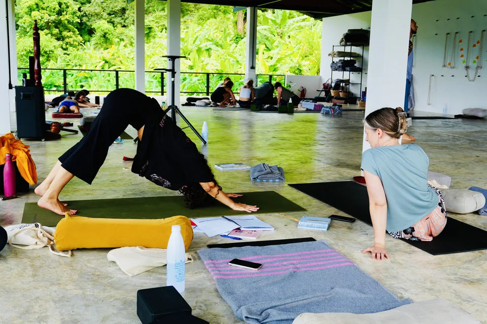 Teacher training students practising and observing a yoga sequence together