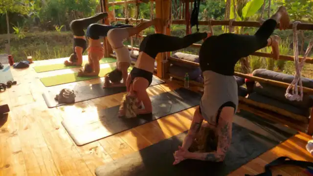 Students practising headstands in the bamboo shala