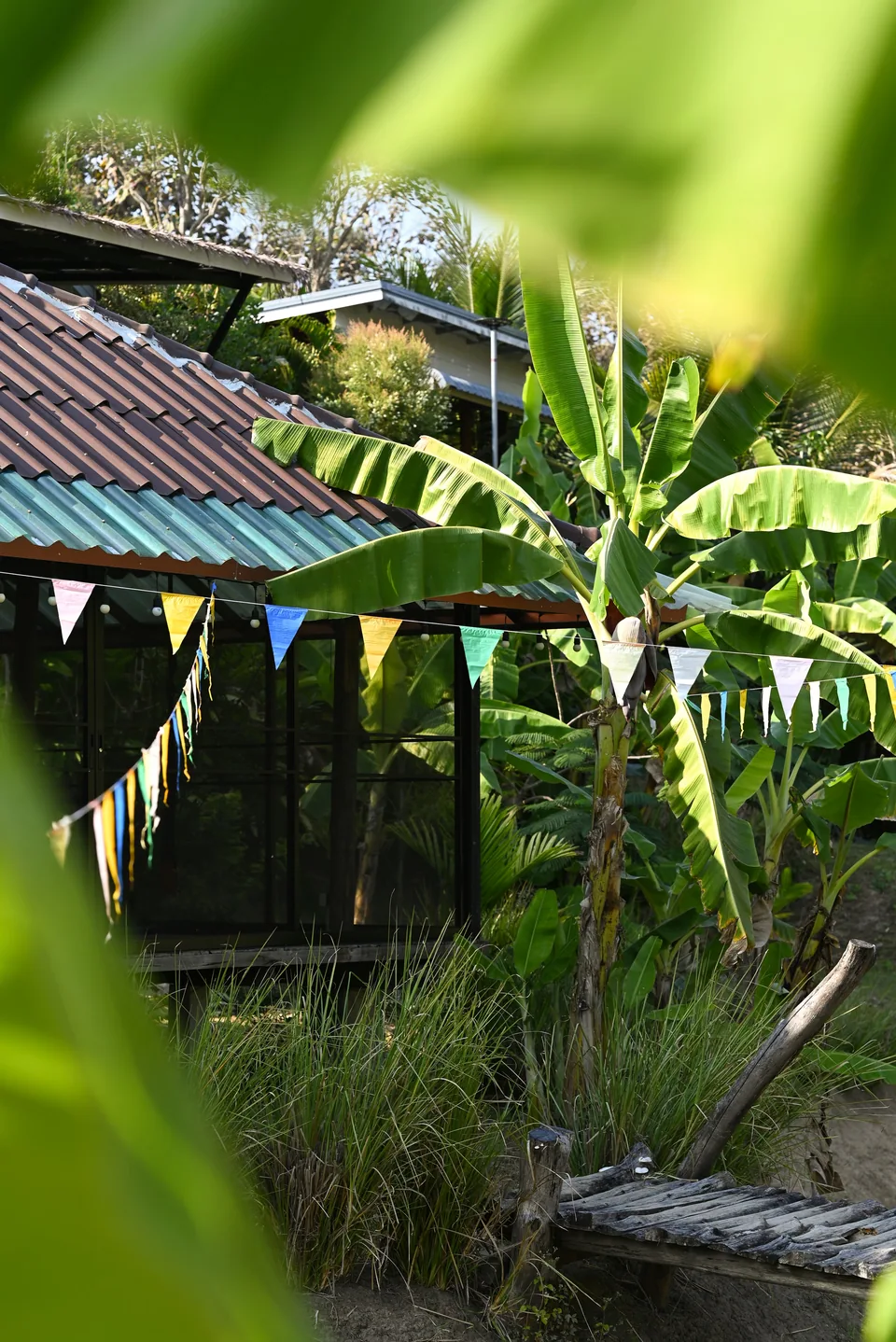 Banana leaves and tropical planting around the True Nature shala