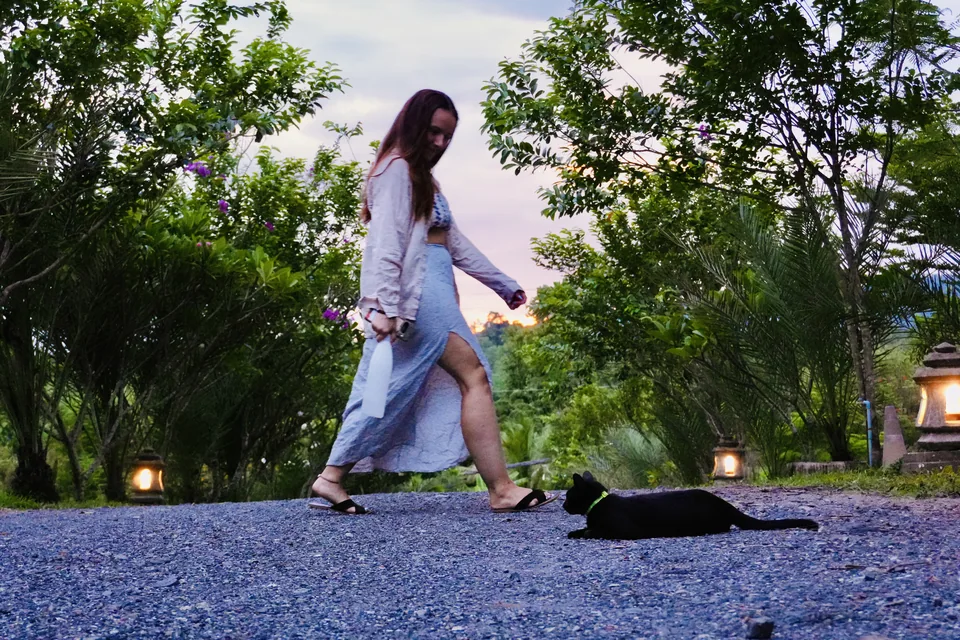 A guest walking past a resident cat on a shaded True Nature garden path