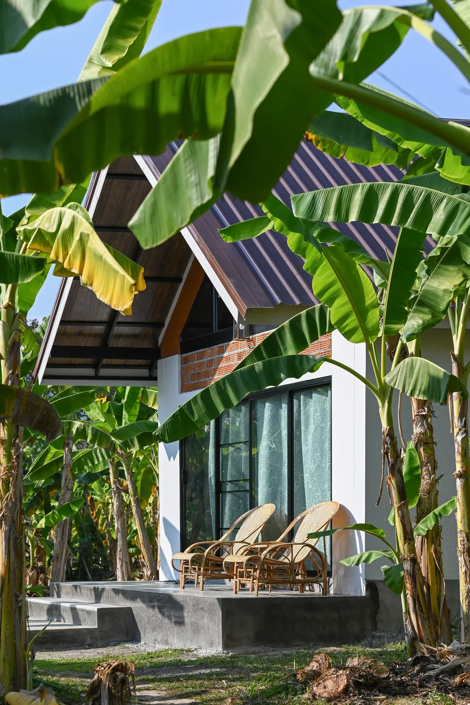 A True Nature cottage surrounded by banana leaves