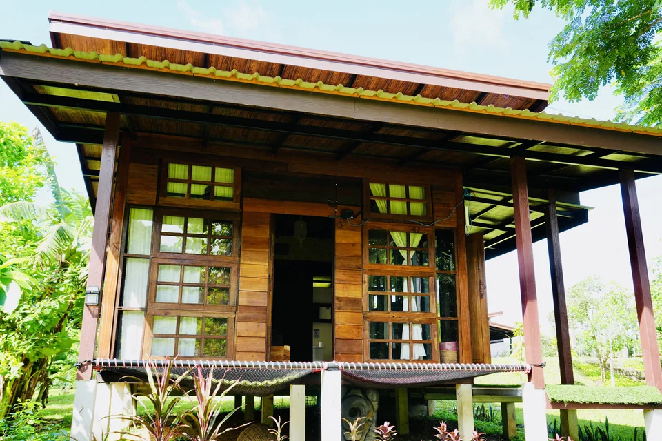 A wooden True Nature cottage surrounded by trees and tropical planting