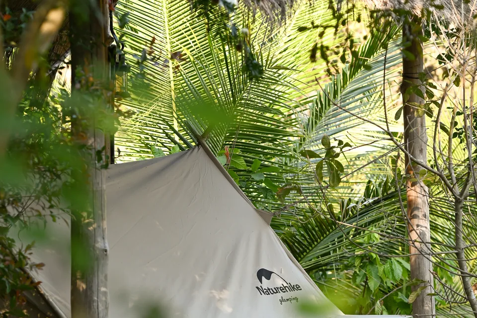 A canvas tent sheltered by palms in the True Nature garden