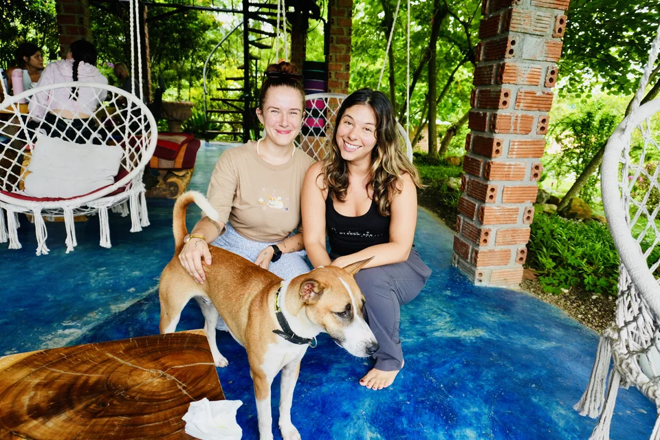 Guests spending time with a resident dog on the open-air terrace