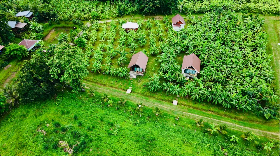 An aerial view of the True Nature cottages, banana plantation, pond and garden paths