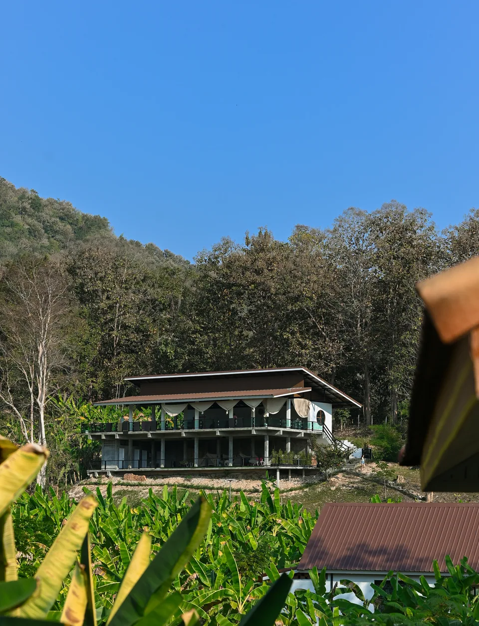 The open-air True Nature shala beneath the green hillside