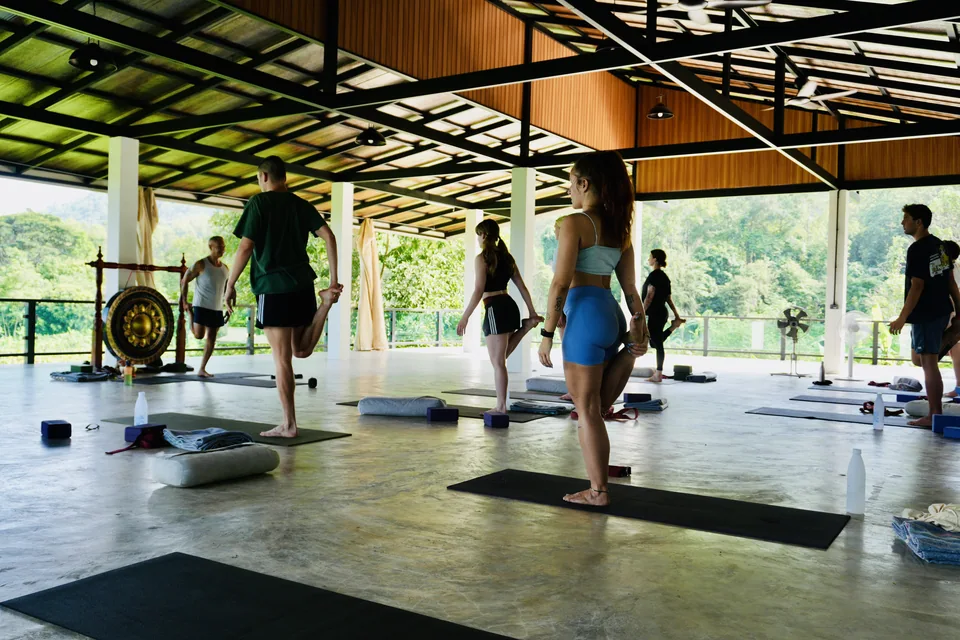 Guests practising tree pose with green garden views beyond the shala