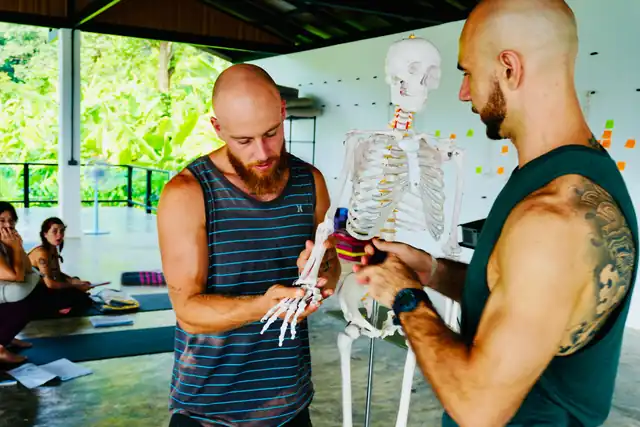 Two teachers explaining anatomy with a model skeleton